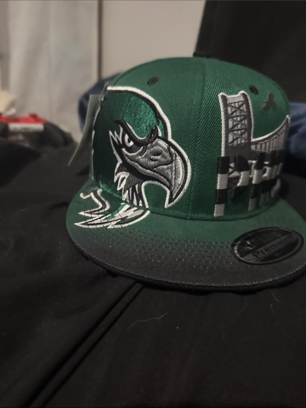 Green and Gray Embroidered Snapback Hat with Mascot Crest